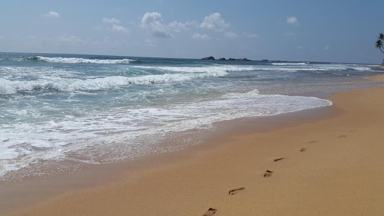 Hikkaduwa Backyard Beach Homestay Galle Εξωτερικό φωτογραφία