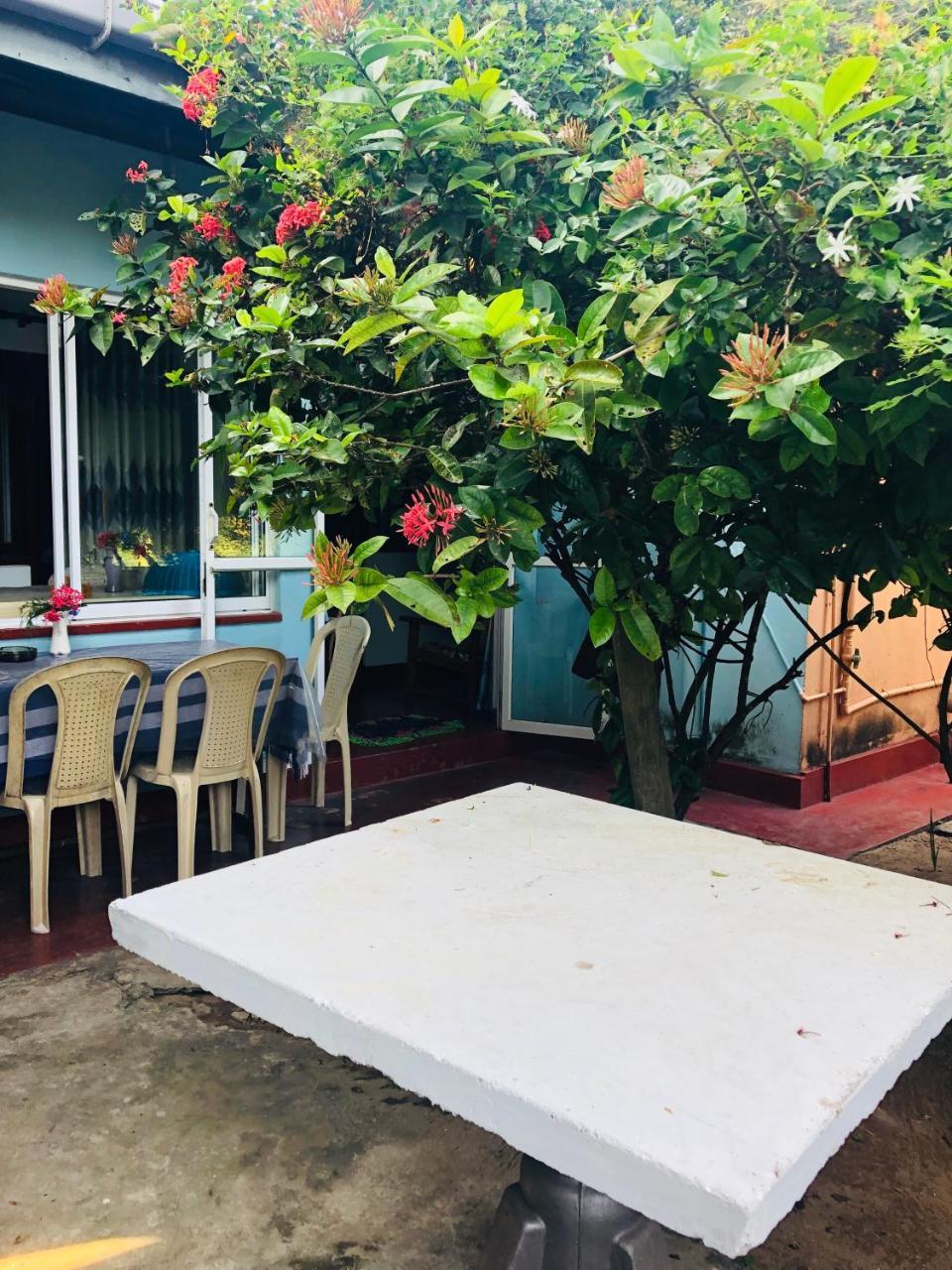 Hikkaduwa Backyard Beach Homestay Galle Εξωτερικό φωτογραφία