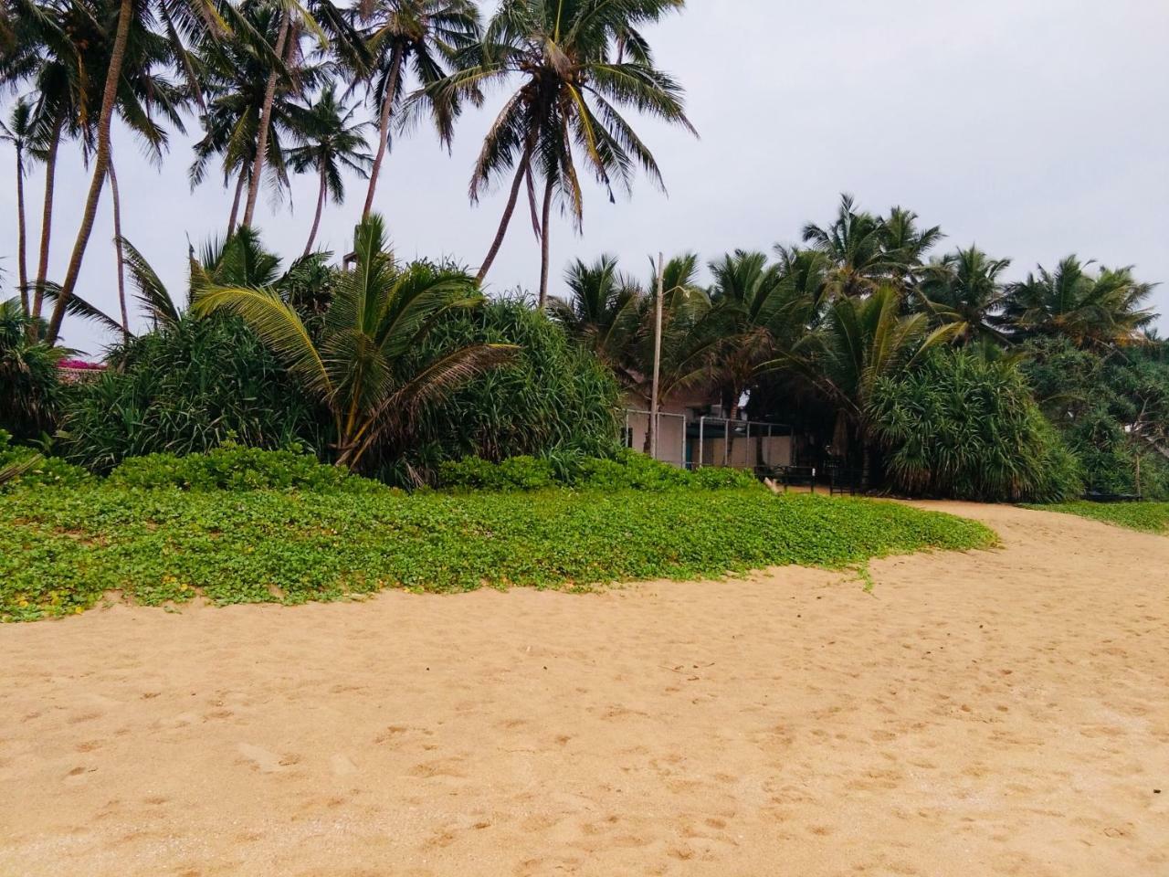 Hikkaduwa Backyard Beach Homestay Galle Εξωτερικό φωτογραφία