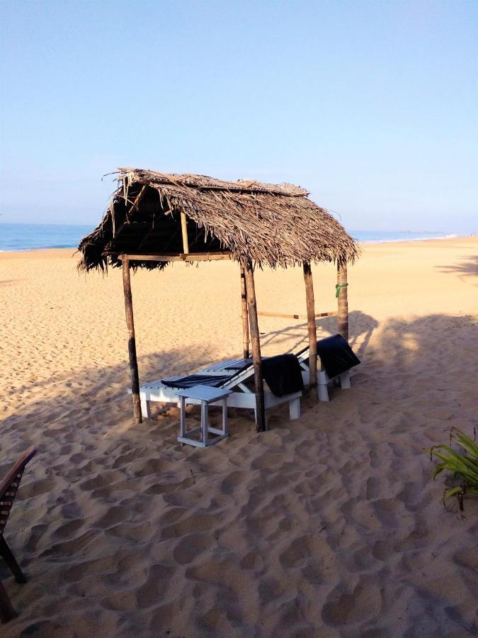 Hikkaduwa Backyard Beach Homestay Galle Εξωτερικό φωτογραφία